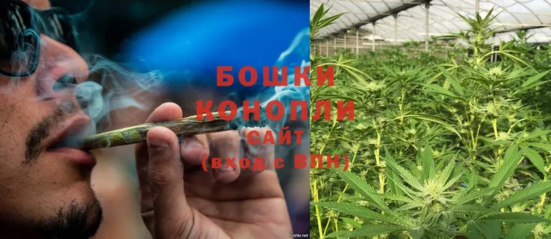 Бошки Шишки Ganja  сайты даркнета какой сайт  Петровск  что такое   kraken вход 